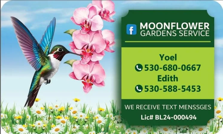 Top-rated landscaping services for year-round maintenance in Chico, CA by MOONFLOWER GARDENS SERVICE