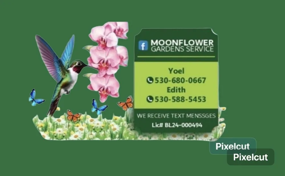 Affordable garden landscaping in Chico, CA by MOONFLOWER GARDENS SERVICE