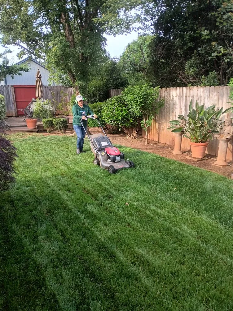 Reliable landscape installation in Chico, CA - MOONFLOWER GARDENS SERVICE