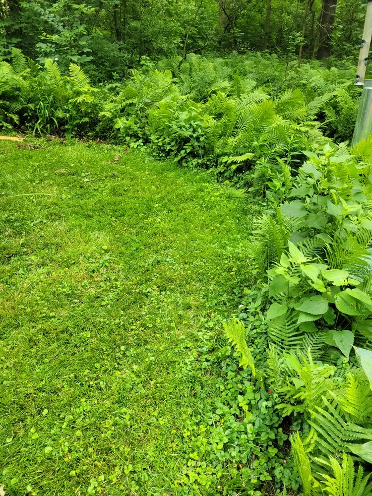 Professional outdoor landscaping in Lisle, IL - Moonflower Services