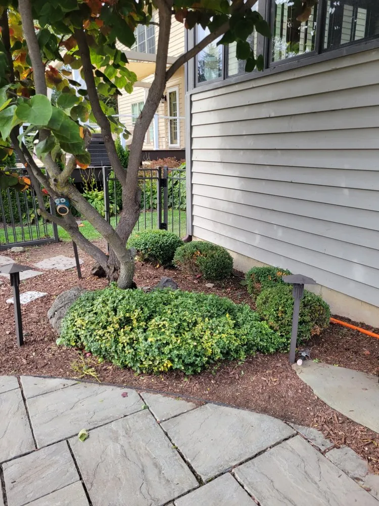 Professional landscaping services experts serving Lisle, IL - Moonflower Services