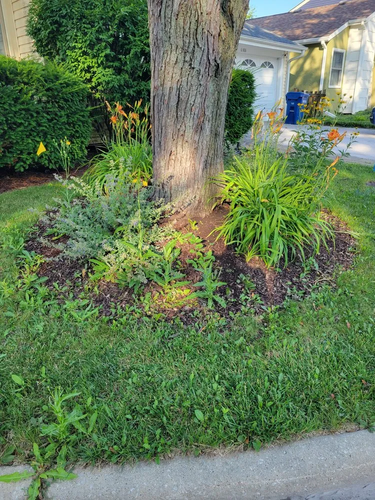 Custom garden landscaping in Lisle, IL - Moonflower Services