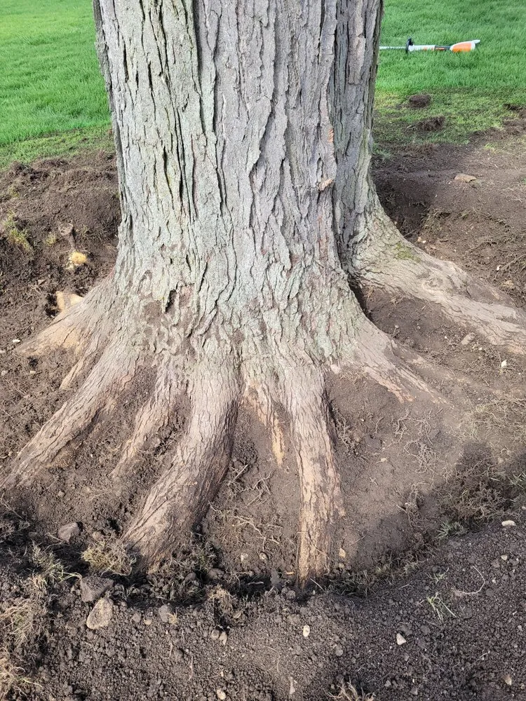 Expert garden landscaping with custom design in Lisle, IL by Moonflower Services