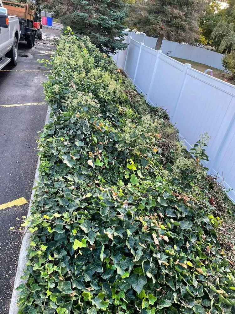 Custom landscape installation in Wenatchee, WA by Moongate Landscaping & Construction