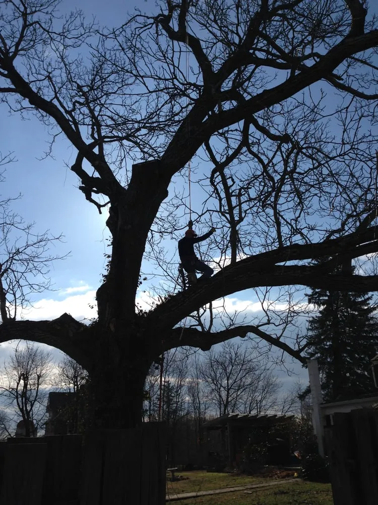 Reliable yard maintenance with custom design in Mohnton, PA by Moonlight Landscape & Tree