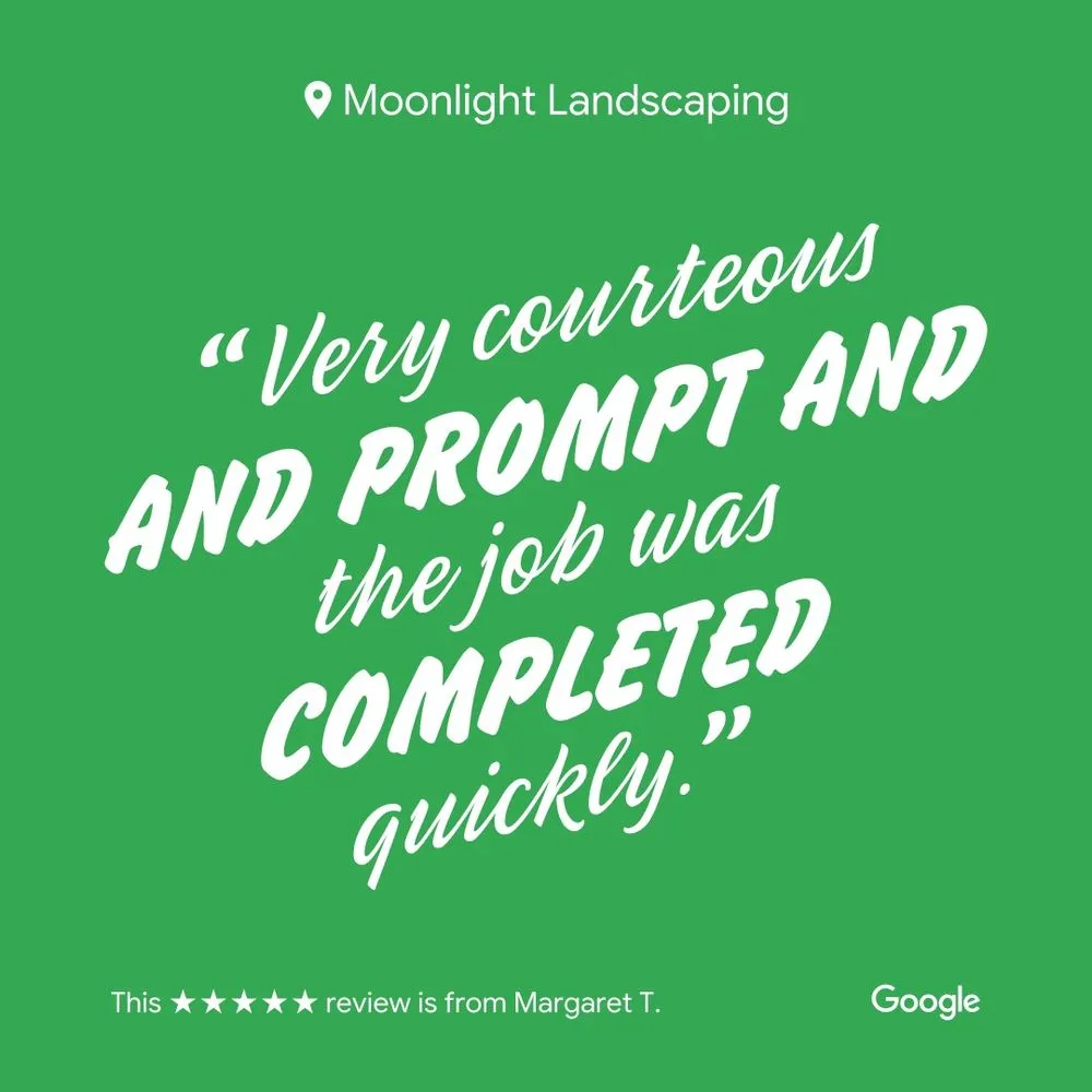 Affordable landscape design for residential properties in Lexington, KY by Moonlight Landscaping