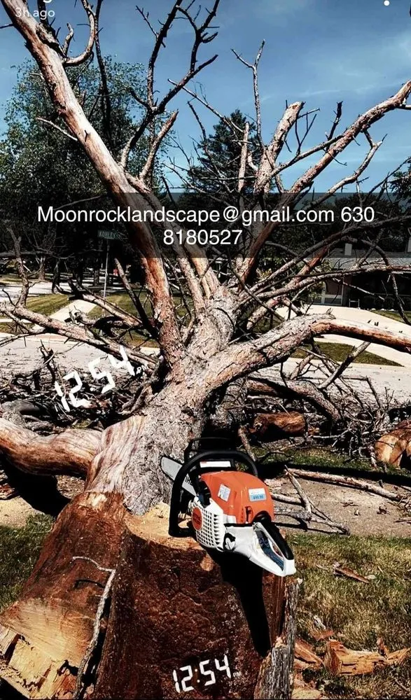 Reliable yard cleanup service in Aurora, IL - Moonrock Landscaping