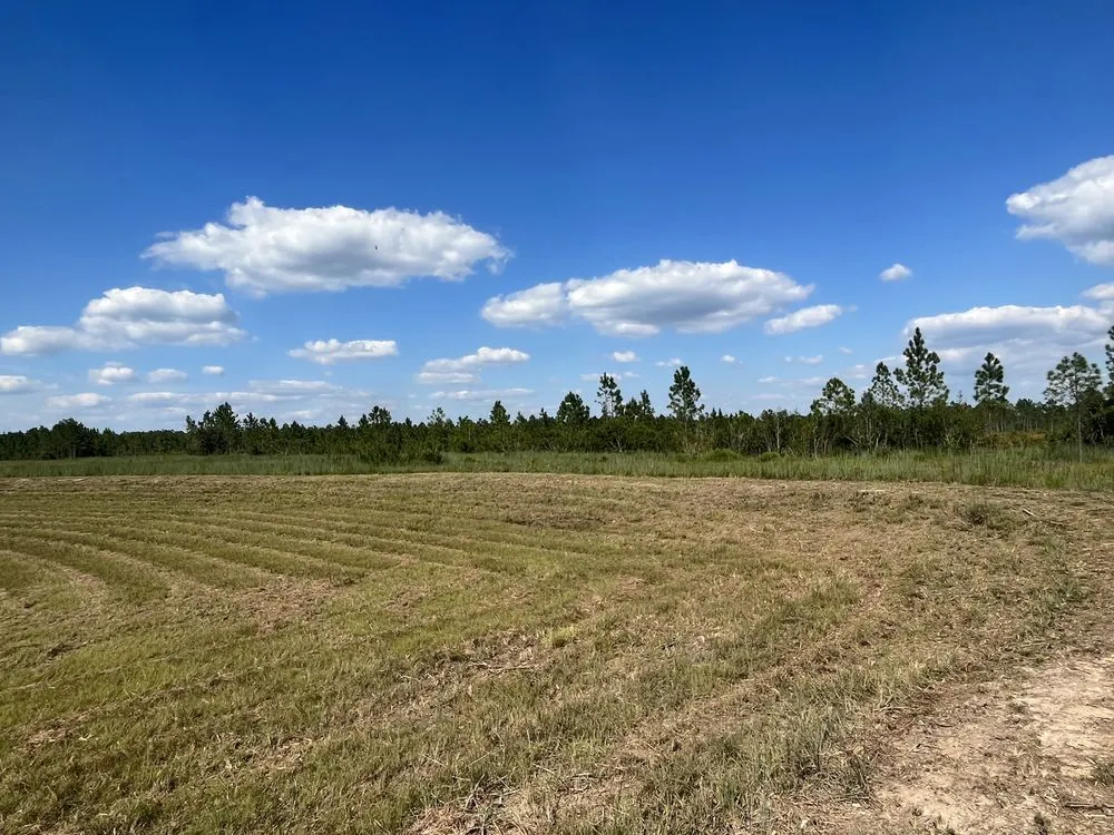 Affordable lawn care service in Biloxi, MS by Moons Grounds Care