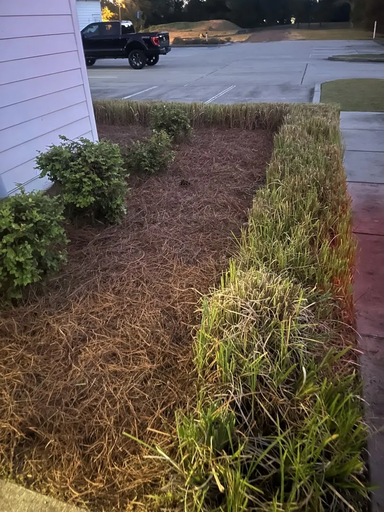 Professional lawn mowing service experts serving Biloxi, MS - Moons Grounds Care