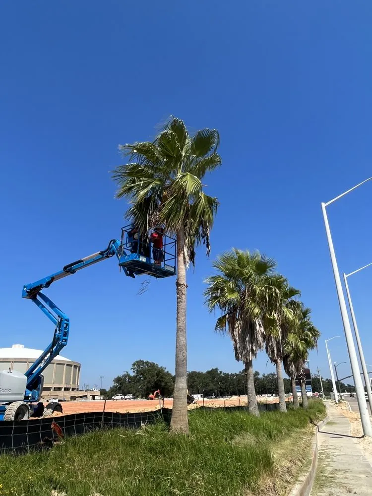 Reliable landscape installation in Biloxi, MS by Moons Grounds Care