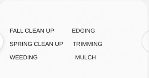 Affordable yard cleanup service in Rochester, NY - MOON’s Landscaping