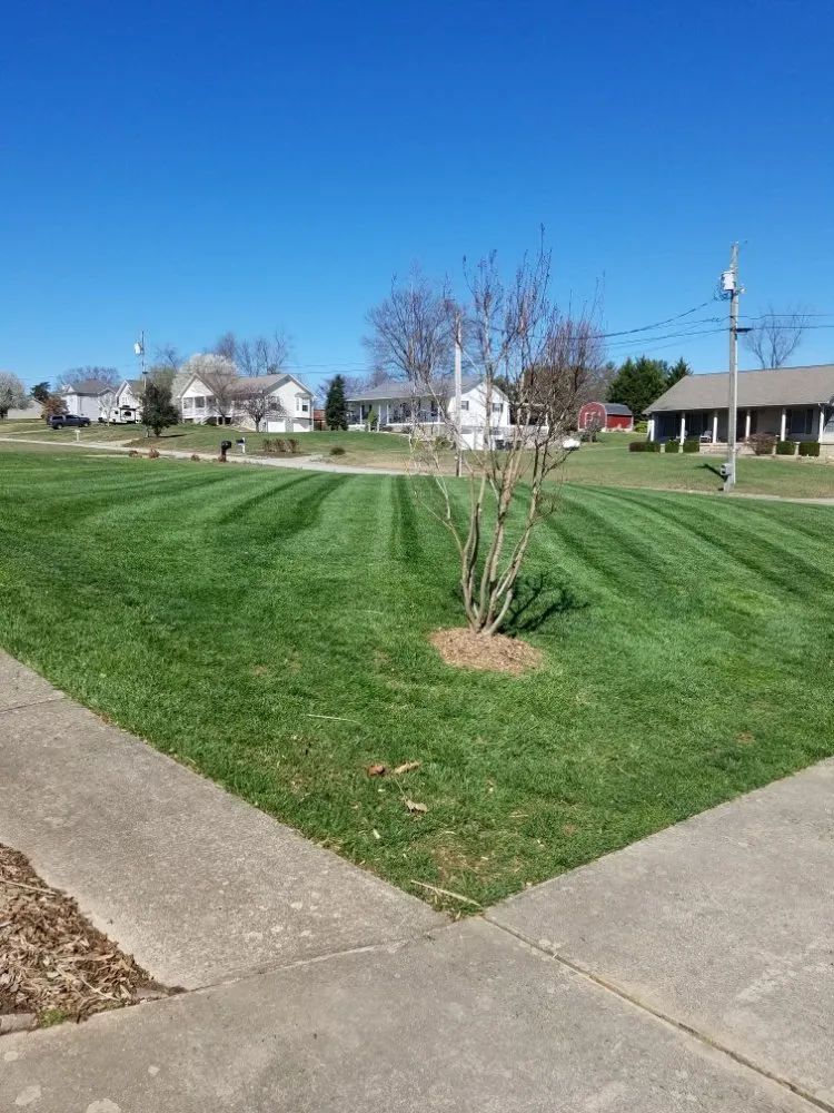 Professional residential landscaping for beautiful yards in Afton, TN by Moons Lawn Care