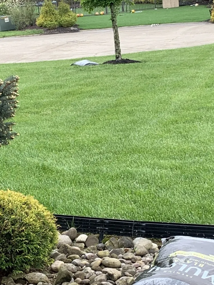Top-rated landscaping services in Hedgesville, WV by Moor Cleaning