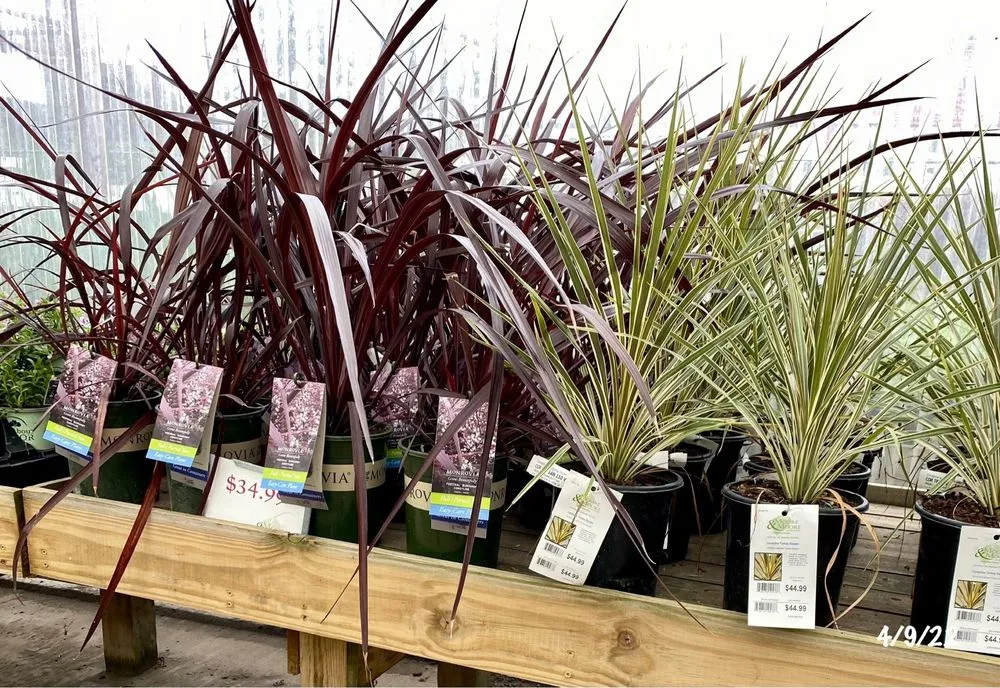 Affordable outdoor landscaping in Nashville, TN - Moore & Moore Garden Center