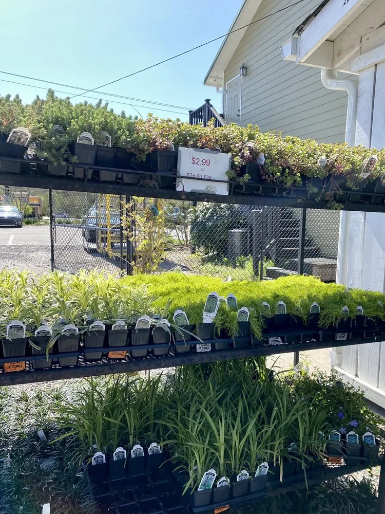 Expert landscape design experts serving Nashville, TN - Moore & Moore Garden Center