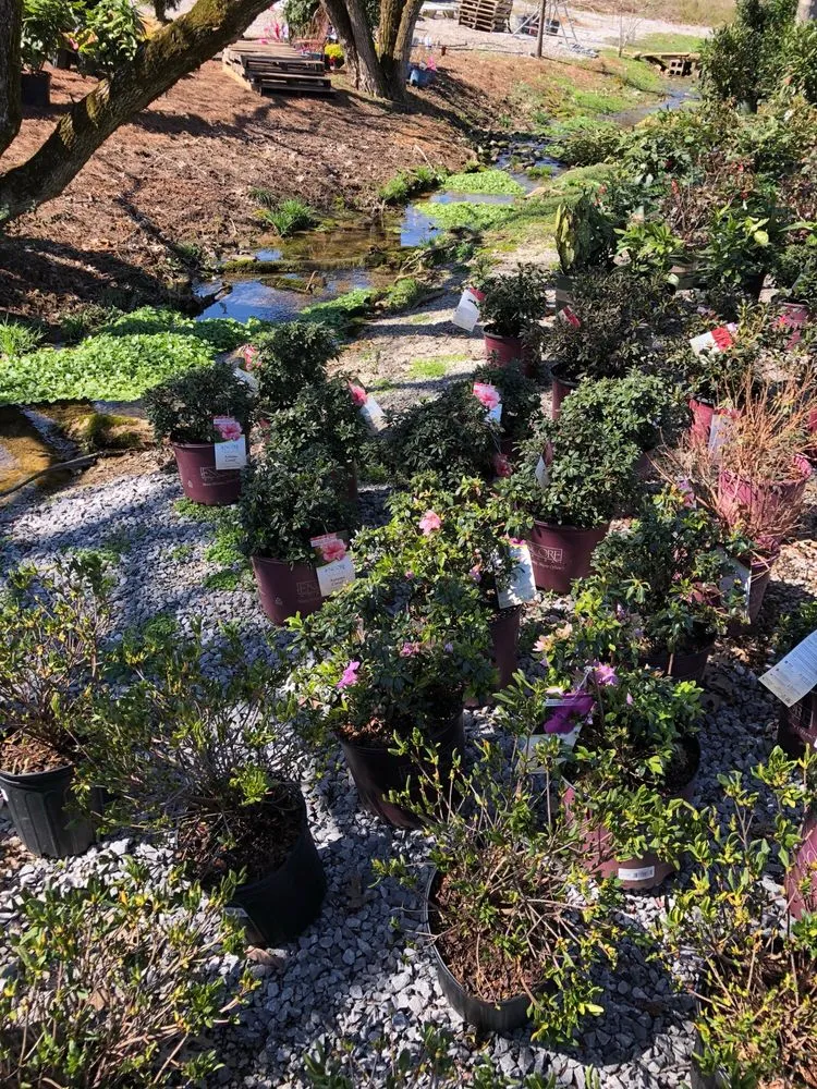 Reliable residential landscaping in Nashville, TN by Moore & Moore Garden Center