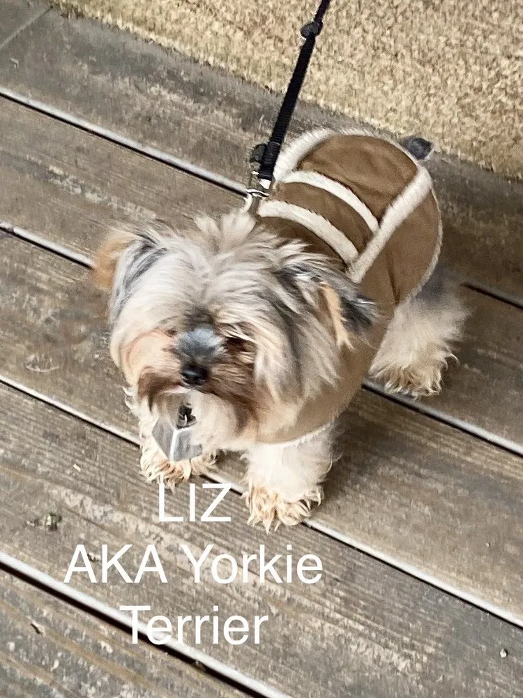 Local residential landscaping experts serving Nashville, TN - Moore & Moore Garden Center