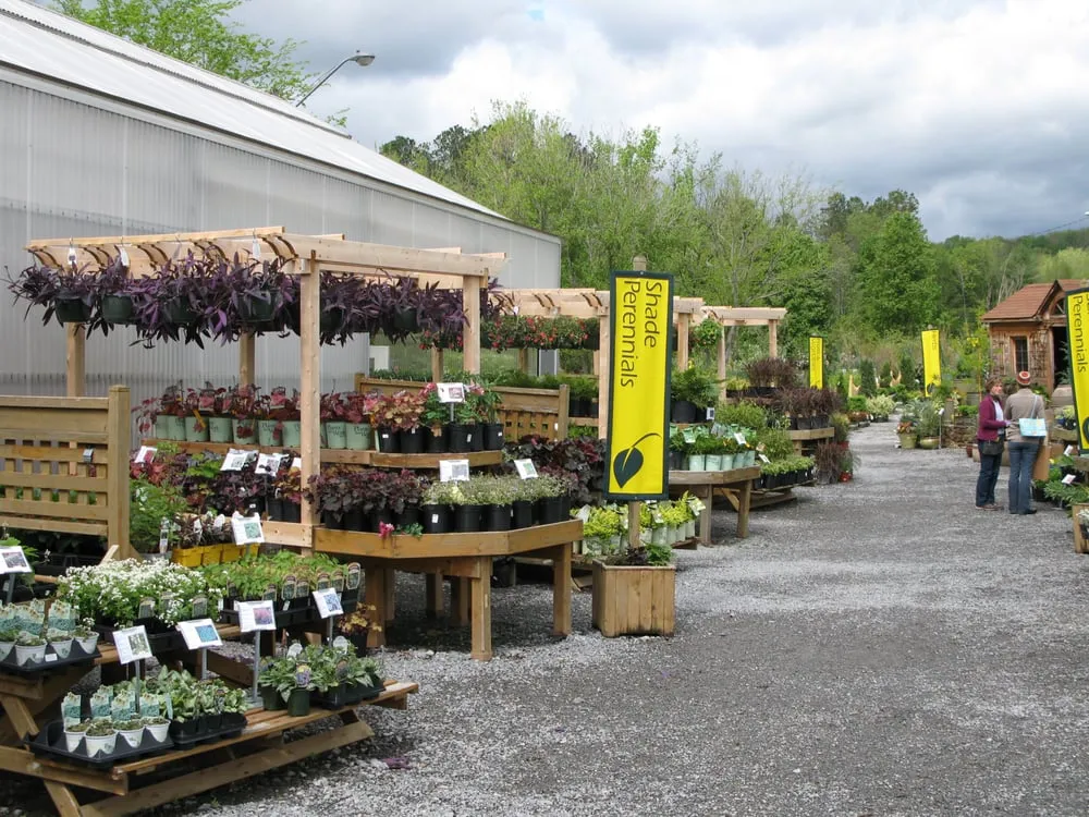 Professional yard maintenance with custom design across Nashville, TN - Moore & Moore Garden Center