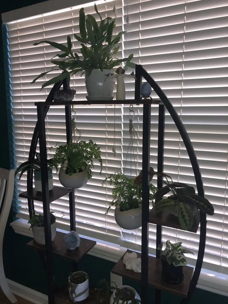 Trusted yard cleanup service in Nashville, TN - Moore & Moore Garden Center