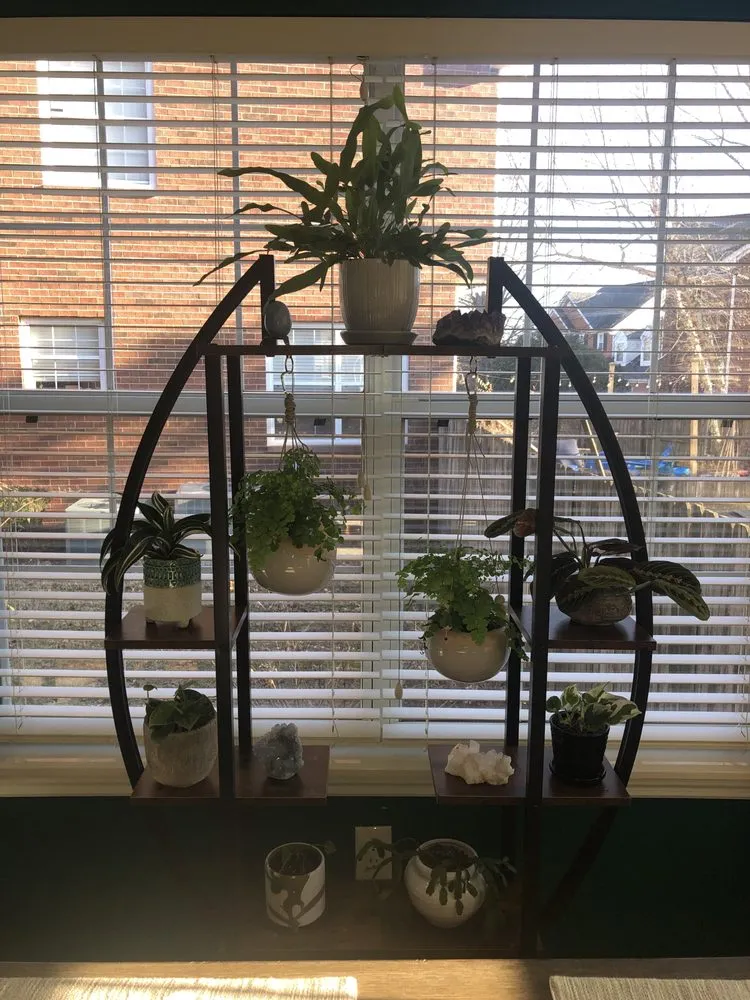 Expert garden landscaping in Nashville, TN - Moore & Moore Garden Center