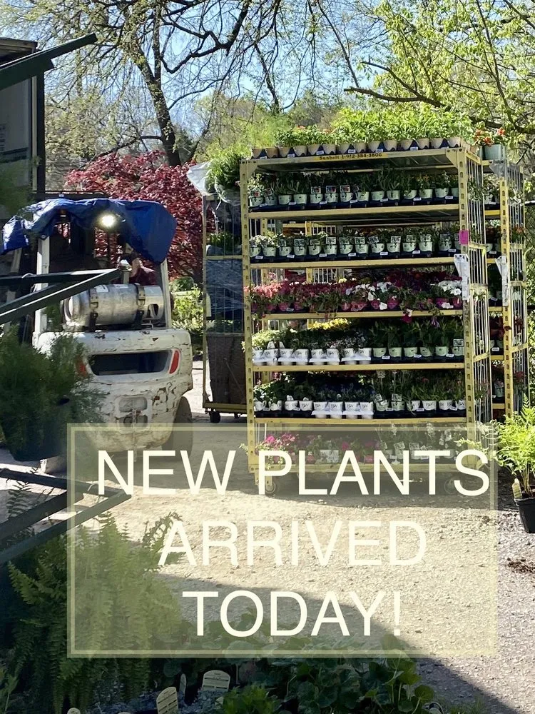 Reliable lawn care service with custom design in Nashville, TN by Moore & Moore Garden Center