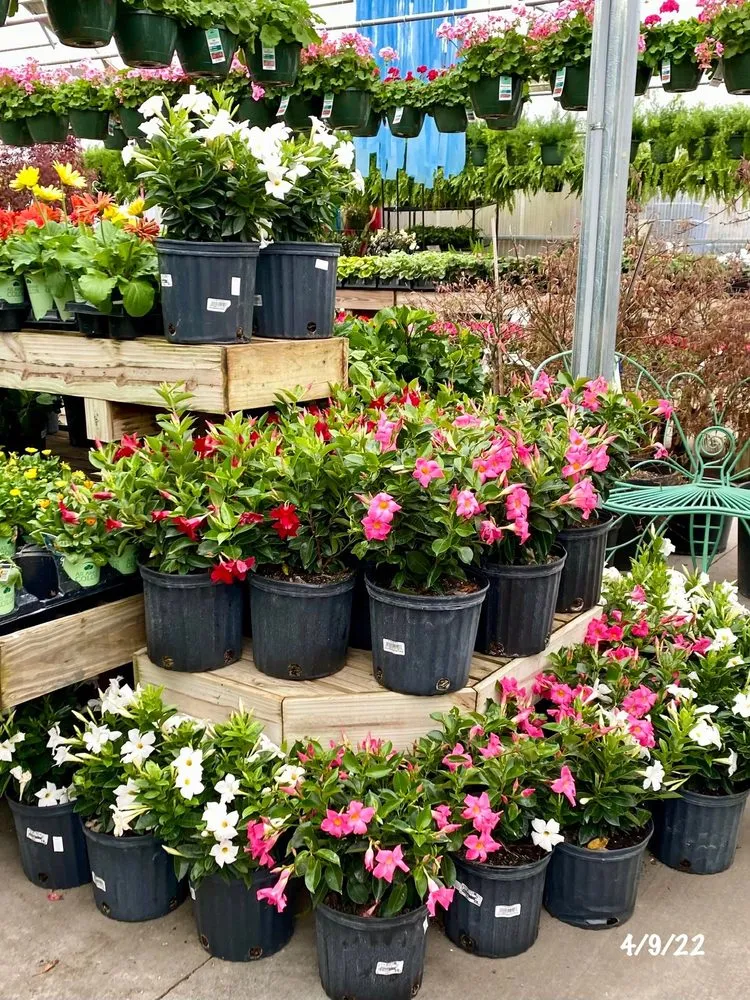 Expert lawn mowing service in Nashville, TN - Moore & Moore Garden Center