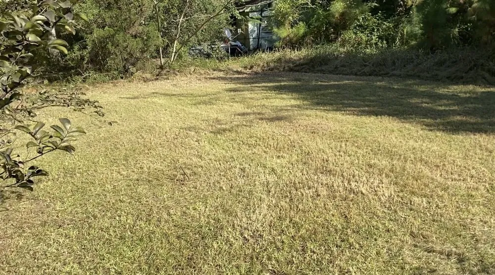 Trusted yard cleanup service in Gautier, MS - Moore & More Services