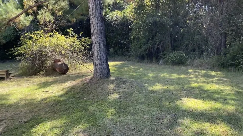 Expert garden landscaping with custom design across Gautier, MS - Moore & More Services