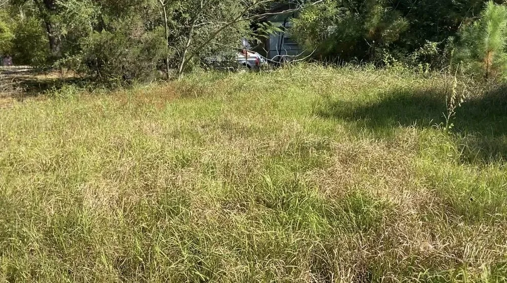 Affordable outdoor landscaping experts serving Gautier, MS - Moore & More Services