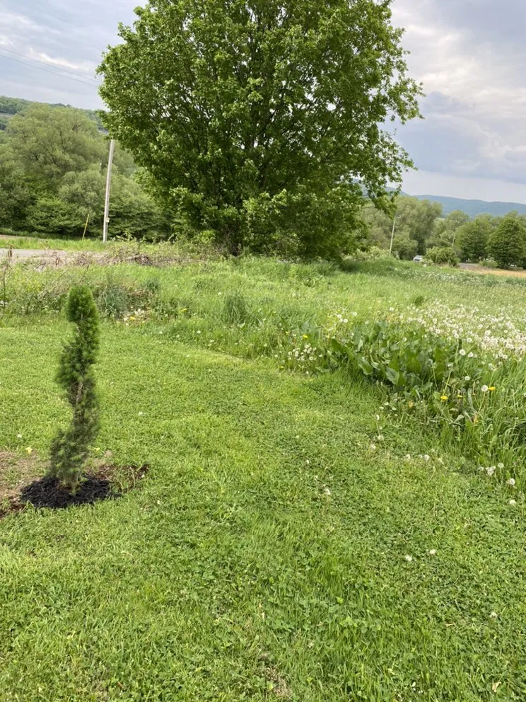 Affordable residential landscaping for residential properties in Cortland, NY by Moore and Brown