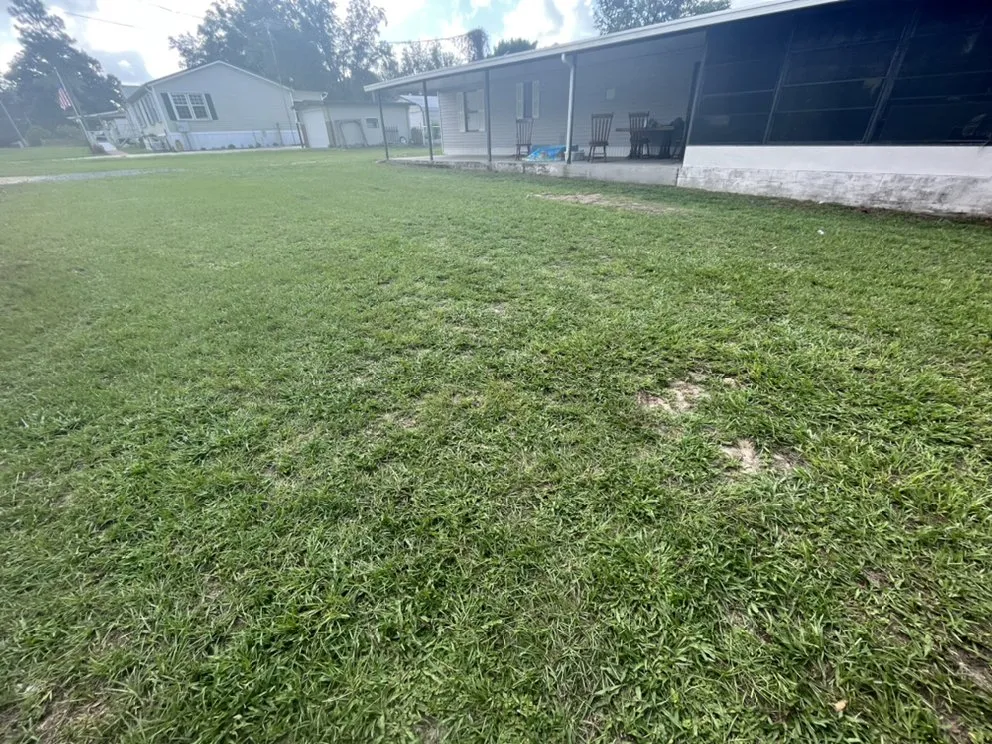 Custom residential landscaping experts serving Summerfield, FL - Moore And Moore Lawn Care