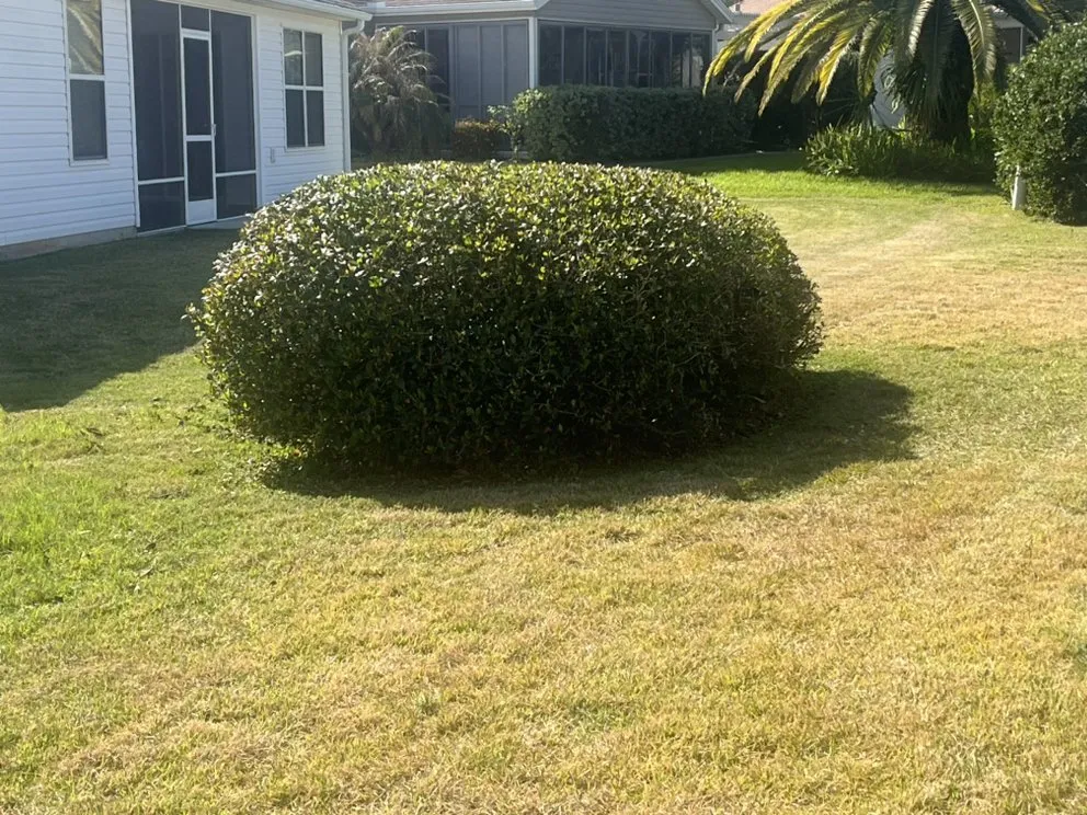Professional landscape installation in Summerfield, FL - Moore And Moore Lawn Care