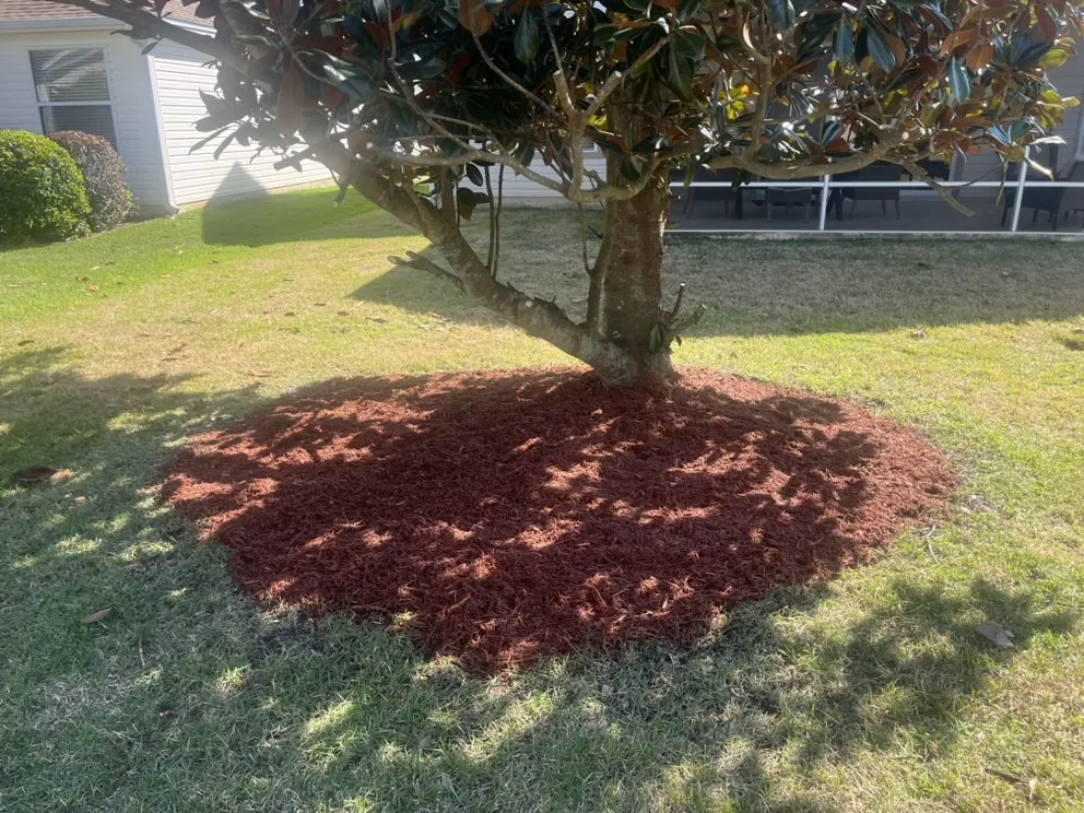 Professional landscape design in Summerfield, FL - Moore And Moore Lawn Care