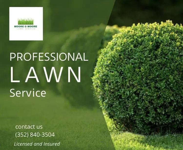 Professional lawn mowing service in Summerfield, FL - Moore And Moore Lawn Care