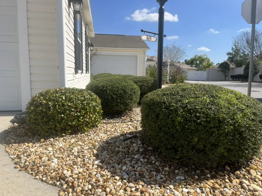Local landscape design in Summerfield, FL - Moore And Moore Lawn Care