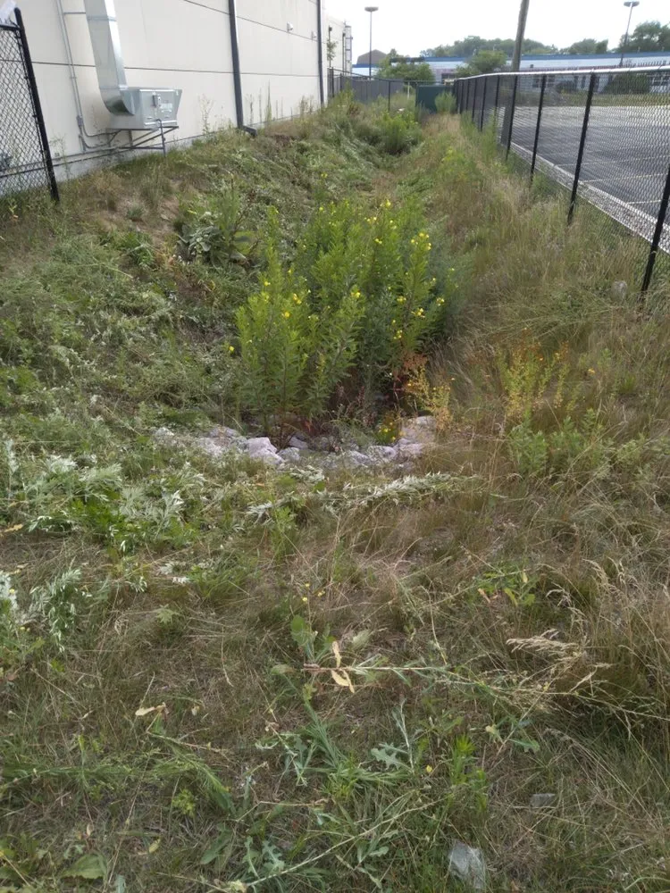 Custom garden landscaping in Elkhart, IN by Moore And Son Lawncare