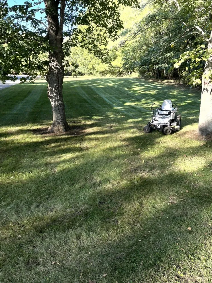 Professional landscaping services for homes in Elkhart, IN by Moore And Son Lawncare