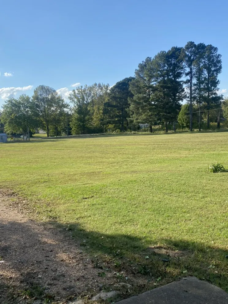 Professional yard cleanup service in Pontotoc, MS by Moore and Sons Lawn Care