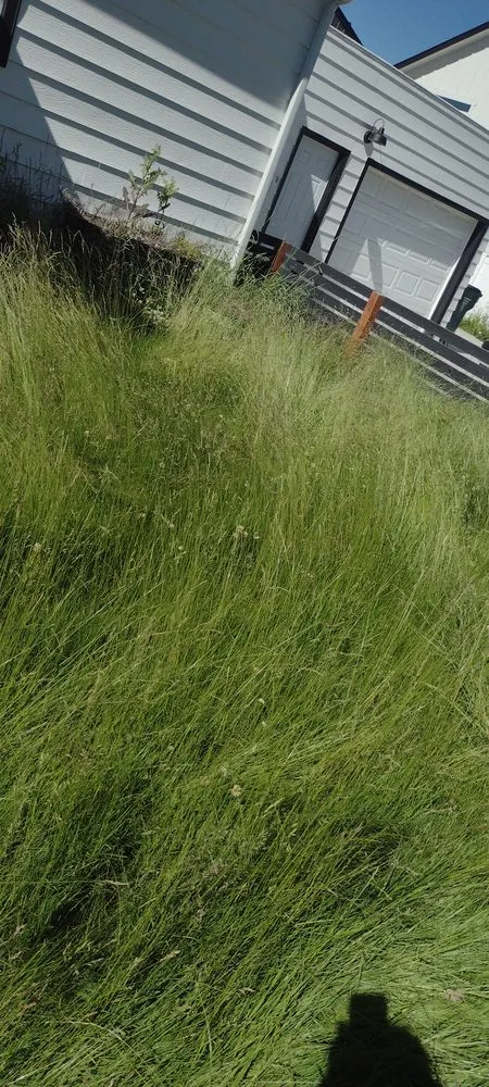 Custom lawn care service in Spokane, WA - Moore Bros Lawn Care and Maintenance