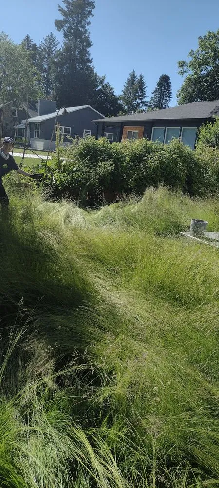 Custom yard cleanup service in Spokane, WA by Moore Bros Lawn Care and Maintenance