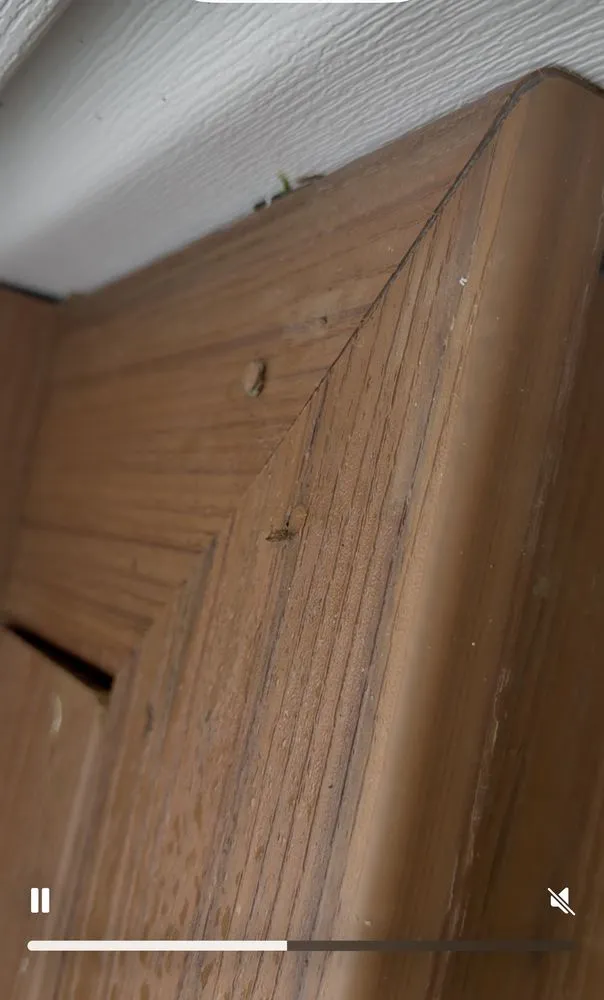 Local landscaping services for outdoor upgrades across Redding, CA - Moore Brothers Landscape Maintenance