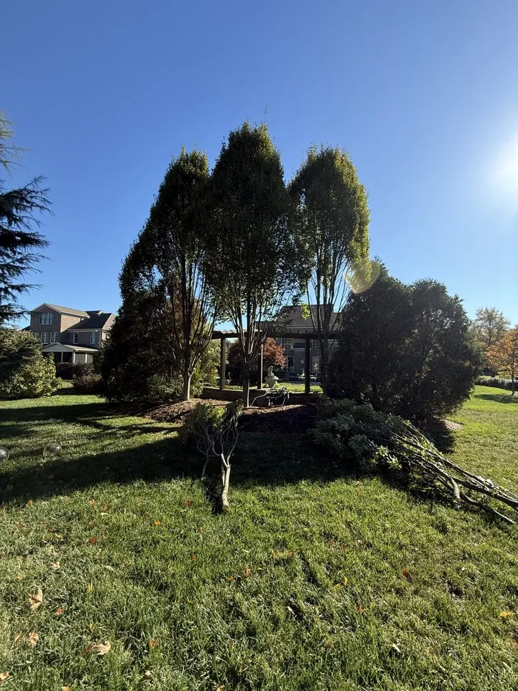 Affordable yard maintenance near you across Waxhaw, NC - Moore Clean Cut Lawns