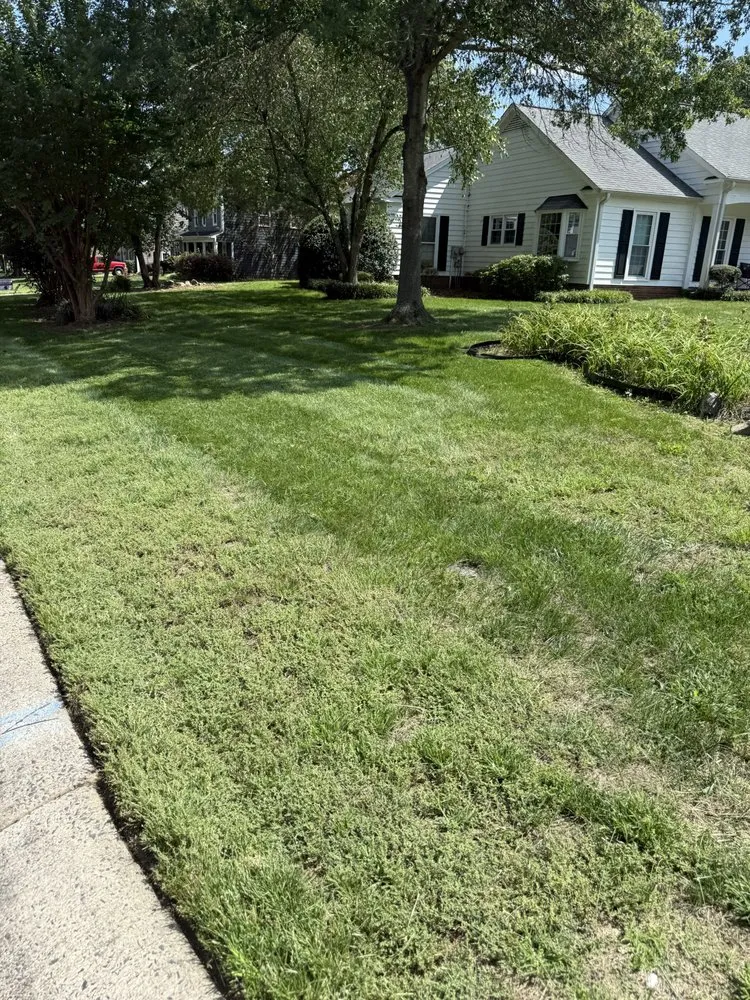 Top-rated yard cleanup service in Waxhaw, NC by Moore Clean Cut Lawns