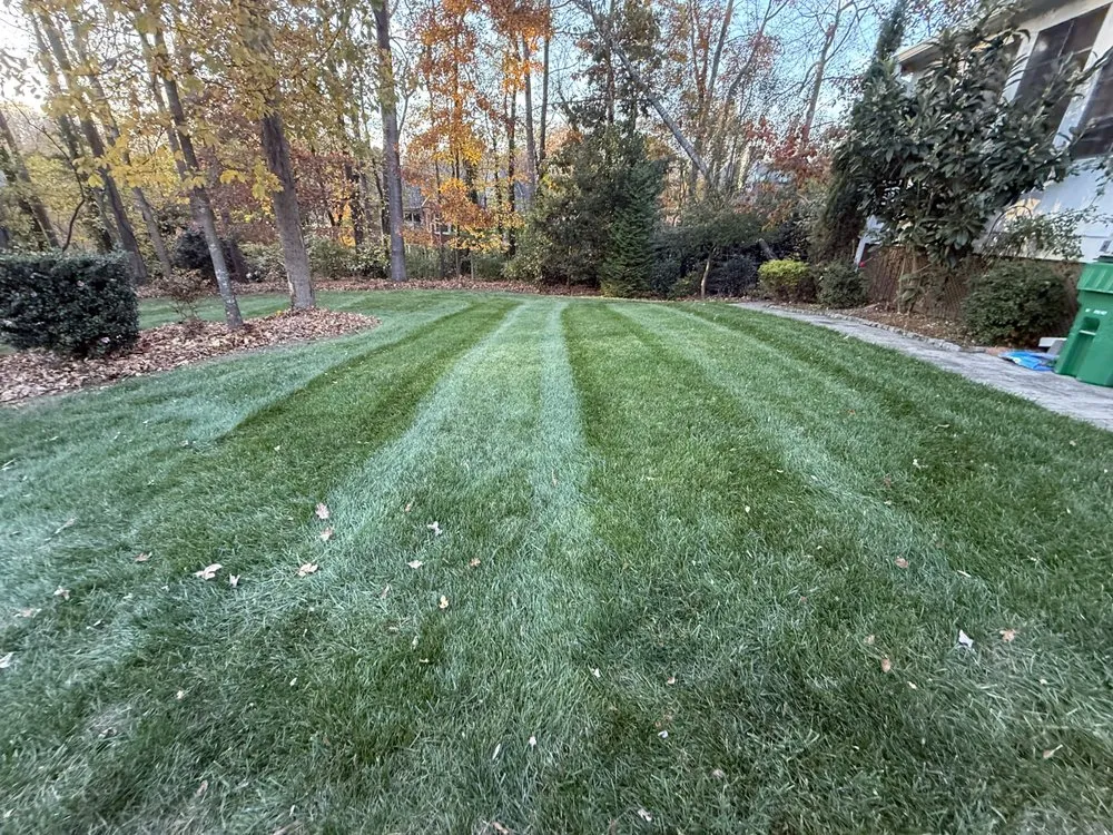 Expert landscape installation for year-round maintenance across Waxhaw, NC - Moore Clean Cut Lawns