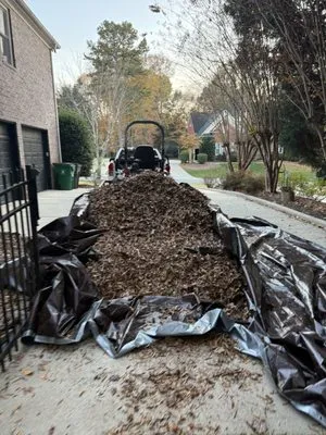 Moore Clean Cut Lawns Logo