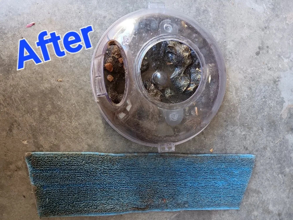 Professional lawn care service for outdoor upgrades in Beech Island, SC by Moore For Less SC