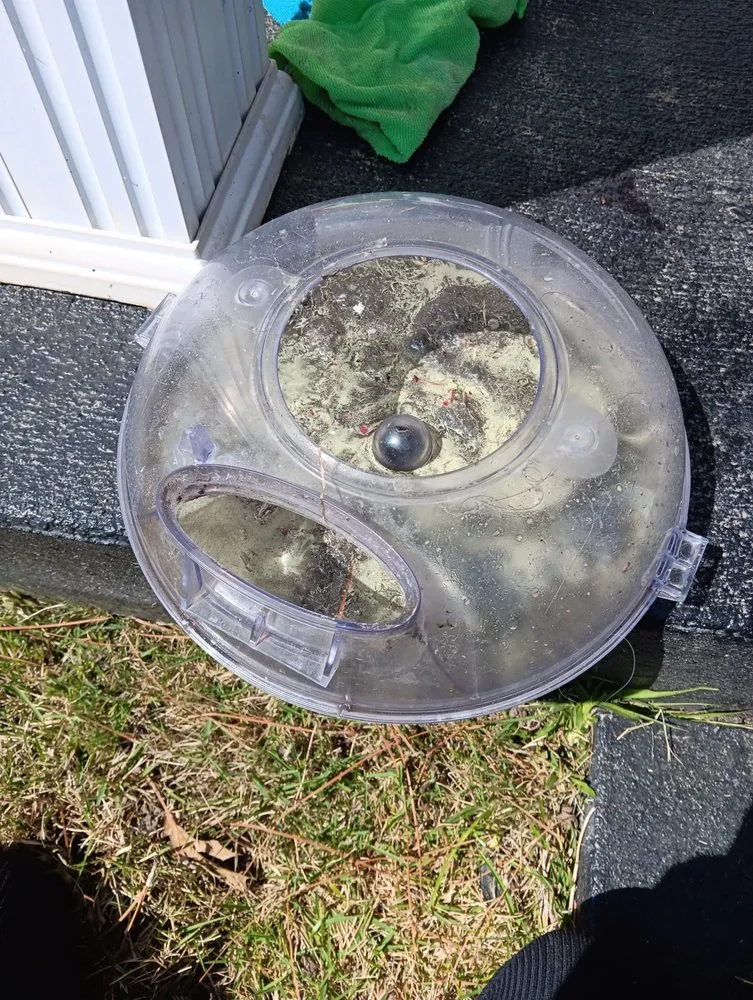 Top-rated outdoor landscaping in Beech Island, SC by Moore For Less SC