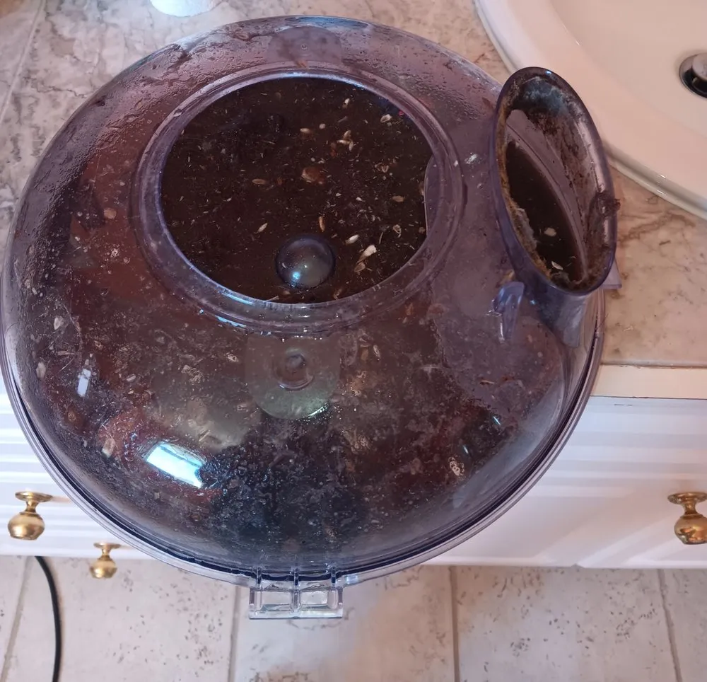 Professional landscape design in Beech Island, SC by Moore For Less SC