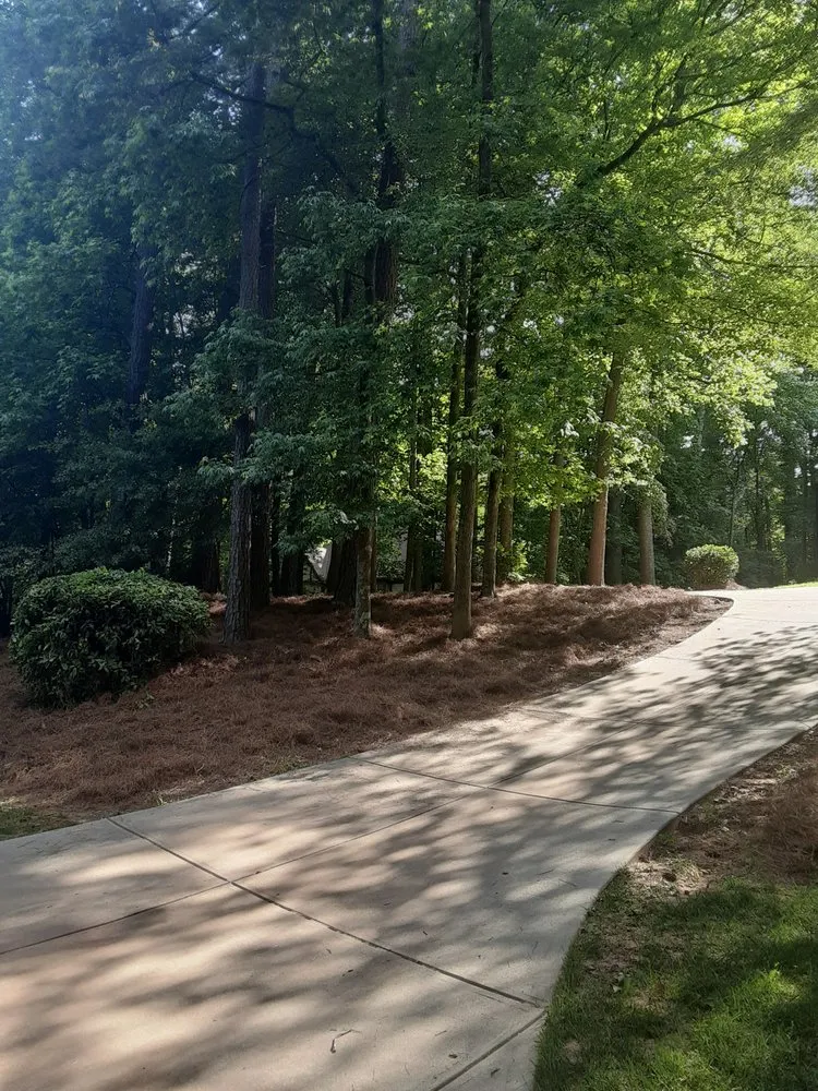 Trusted lawn care service in Union City, GA by Moore For Less