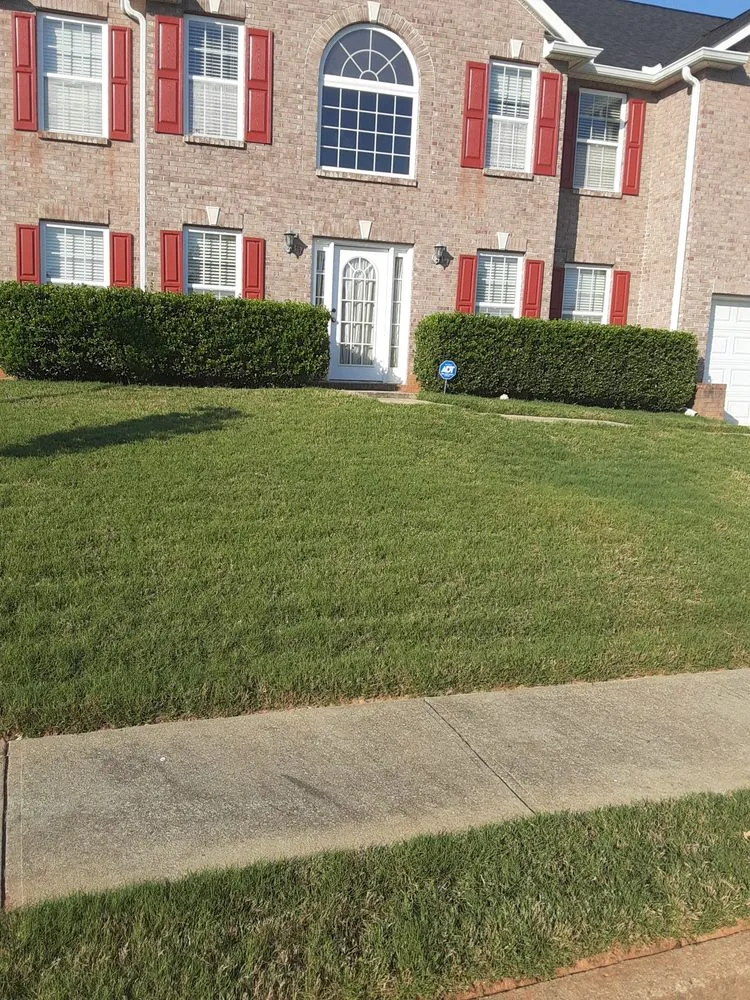 Top-rated landscape installation in Union City, GA - Moore For Less